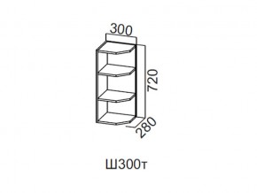 Ш300т/720 Шкаф навесной 300/720 (торцевой) в Новоуральске - novouralsk.magazin-mebel74.ru | фото