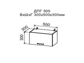 Шкаф верхний ДПГ500 горизонтальный в Новоуральске - novouralsk.magazin-mebel74.ru | фото