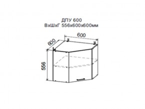Шкаф верхний ДПУ600 угловой в Новоуральске - novouralsk.magazin-mebel74.ru | фото